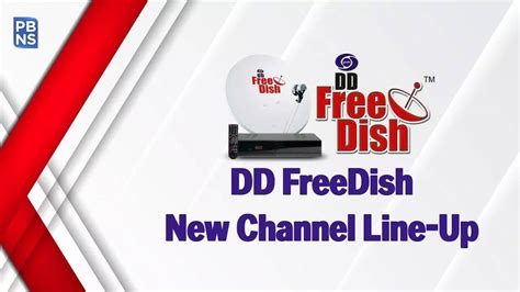 dd free dish chanel|dth free dish channel list.